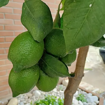 Light House 13 Pers Il Faro - Paradise With Sea View Casa vacanze Ortona